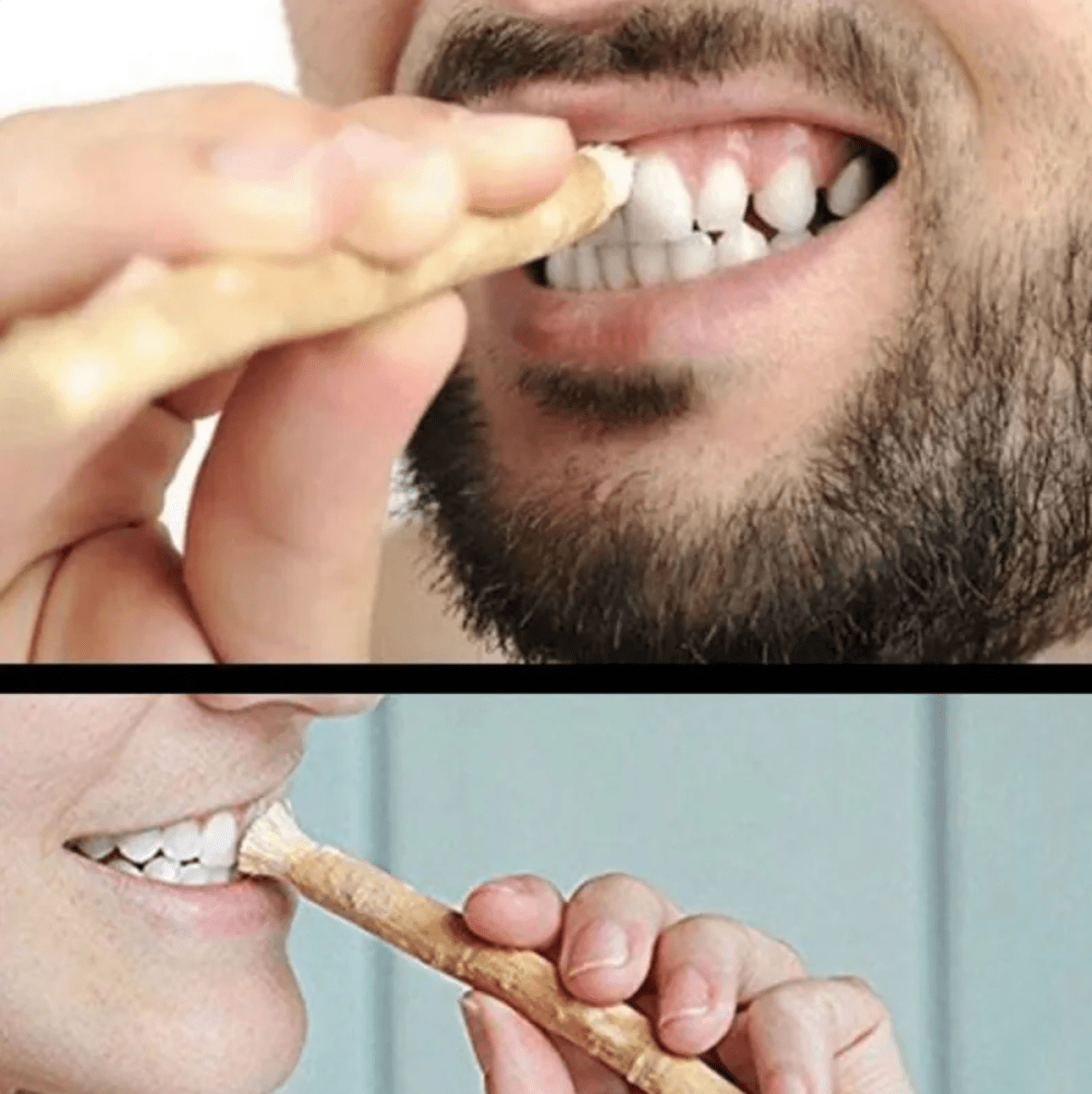 Miswak Tooth Cleaning Stick - Galaxy Cart