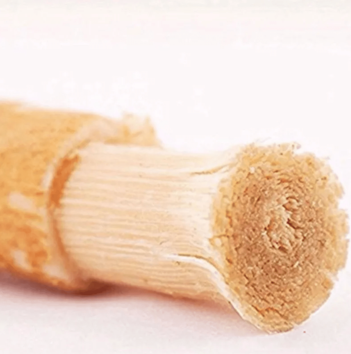 Miswak Tooth Cleaning Stick - Galaxy Cart